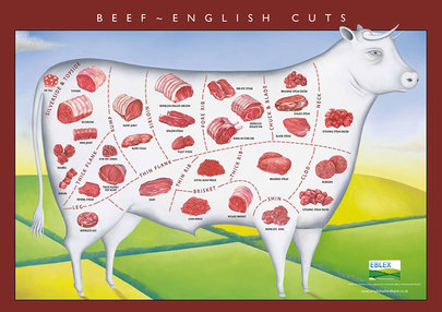 EBLEX beef cuts image