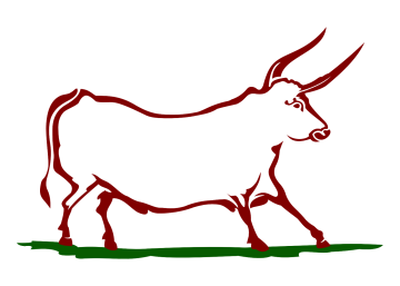 Native Beef logo